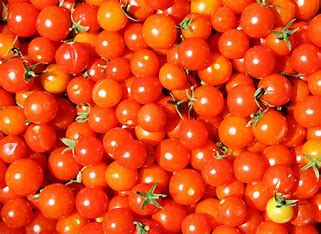 Cherry Tomatoes (punnet)