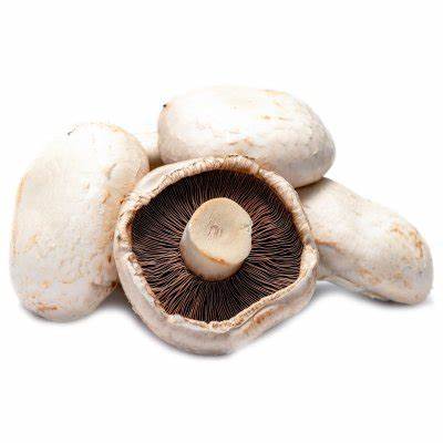 Field Mushrooms