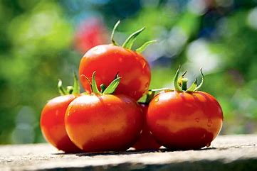 Tomatoes (per kg)