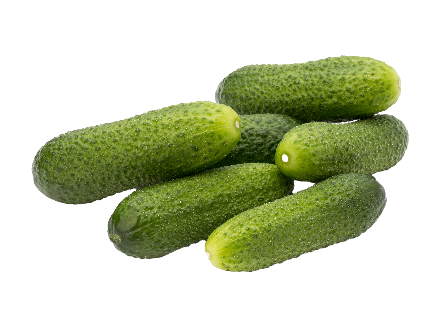 Lebanese cucumber