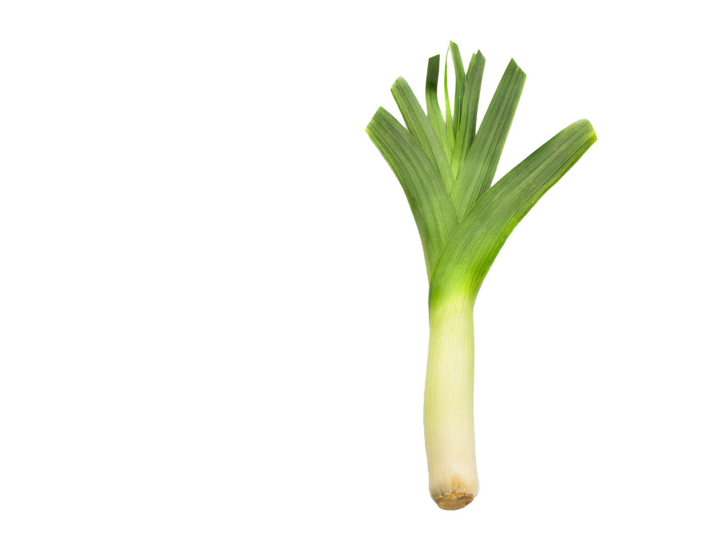 Leeks