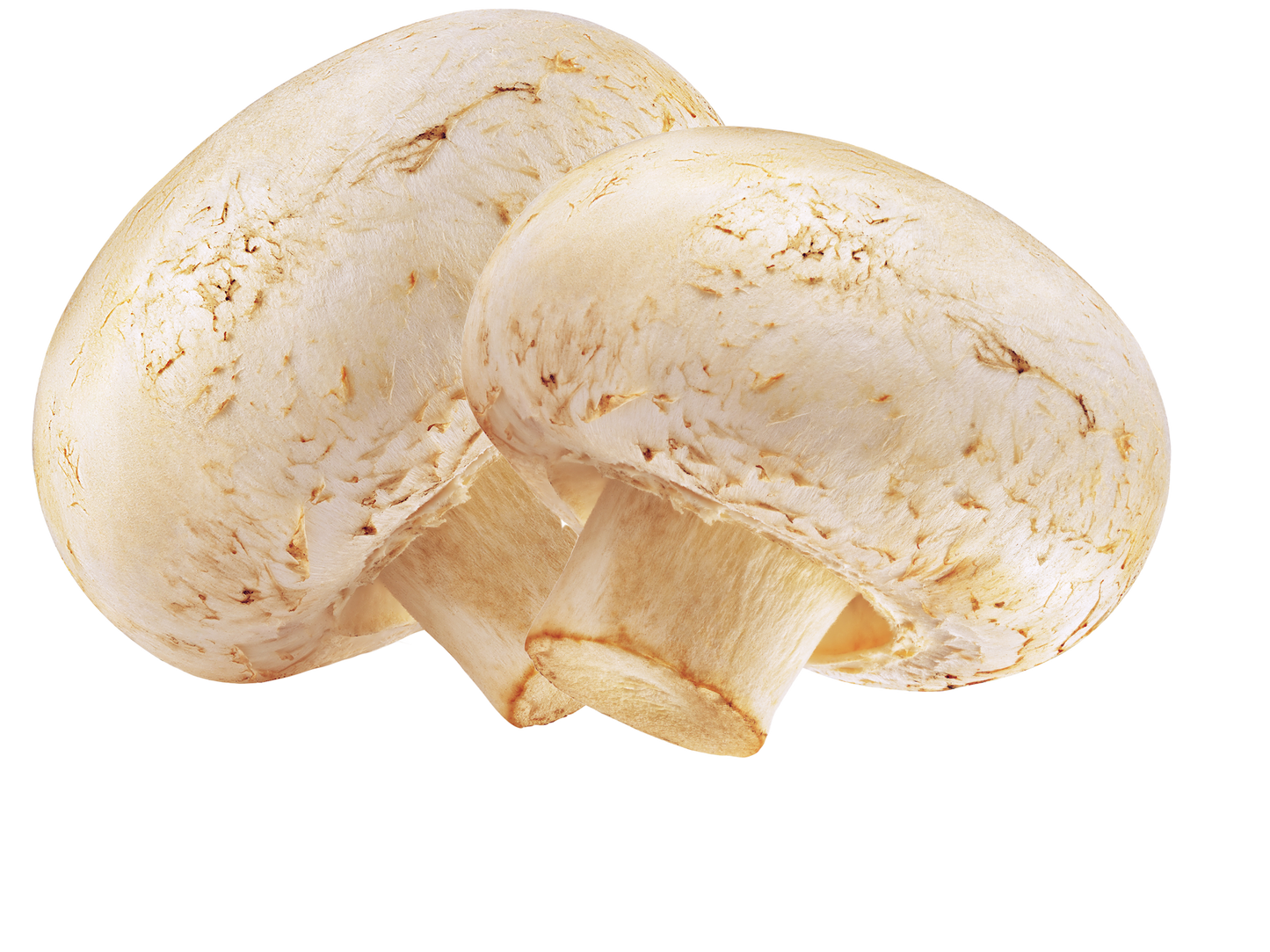A grade mushrooms