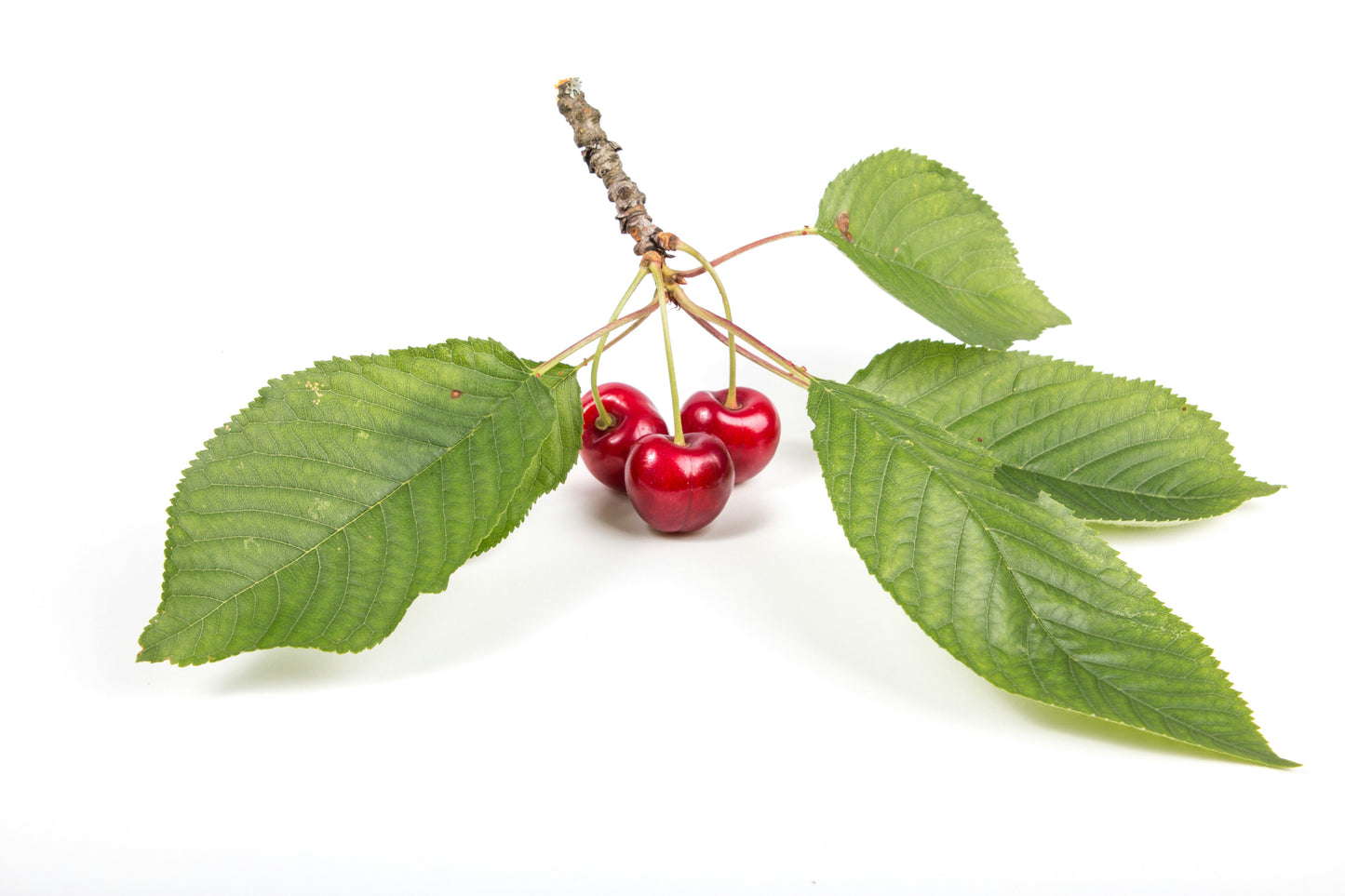 Cherries