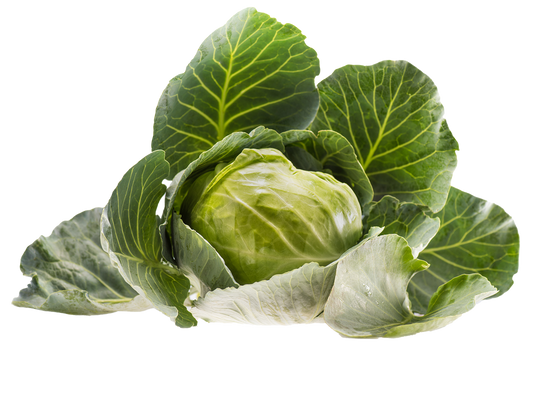 Cabbage Cabbage