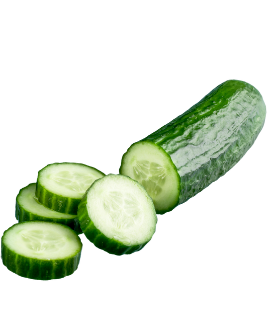 Burpless Cucumber