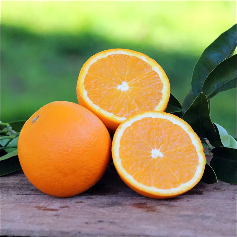 Navel Orange