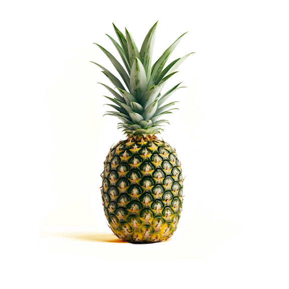 Pineapple (each)
